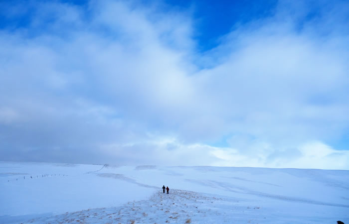 広大な雪原の道を歩く