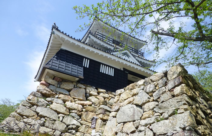 浜松城の野面積みの石垣