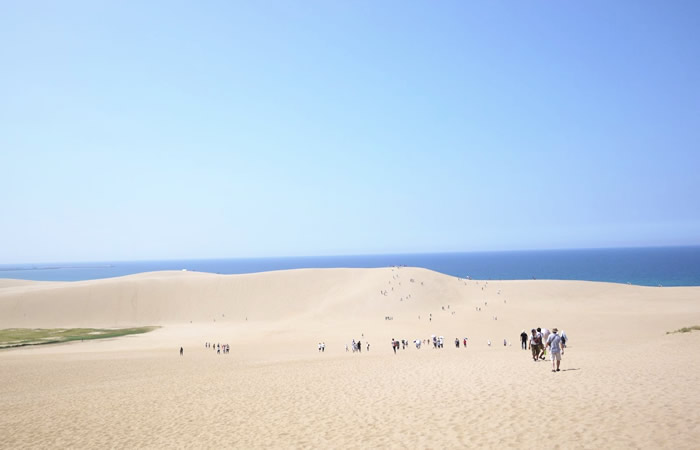 日本にいるとは思えないほど広大な鳥取砂丘の景観