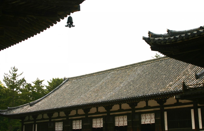 唐招提寺の講堂の大屋根