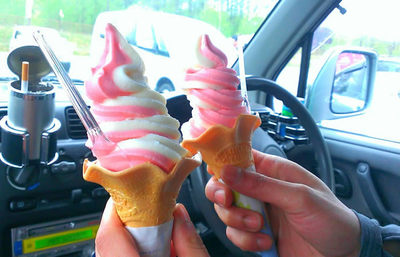 北海道・ひがしもこと芝桜公園の芝桜ソフトクリーム【みんなで楽しむご当地グルメ】