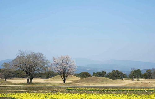 日本最大級の西都原古墳群、花々が咲き乱れる丘陵で古代日向の謎に触れる旅