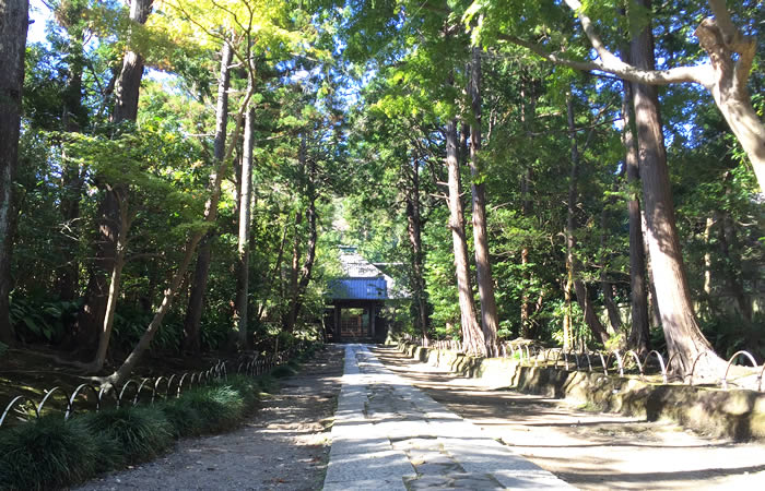 寿福寺の境内