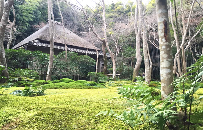 祇王寺の美しい苔庭と草庵