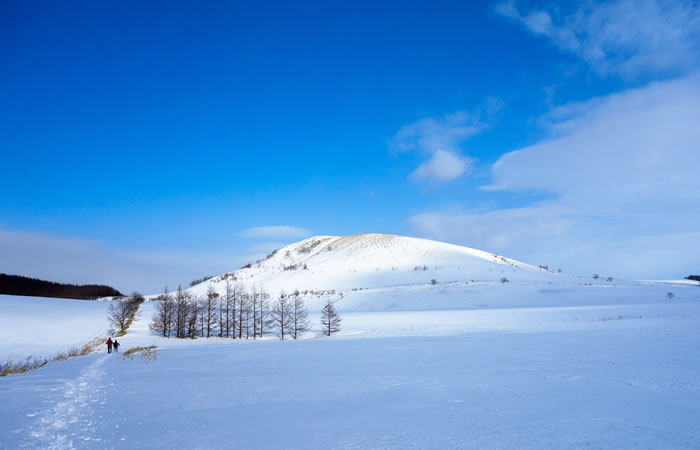 雪景色に染まるモアン山