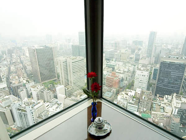 高層階から大阪の街を一望