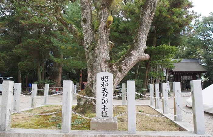 昭和天皇お手植えの樹木