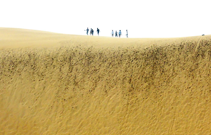 人があまりにも小さく見える鳥取砂丘の風景