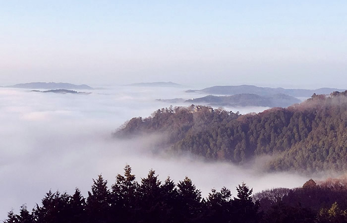 雲海の中に浮かび上がる備中松山城